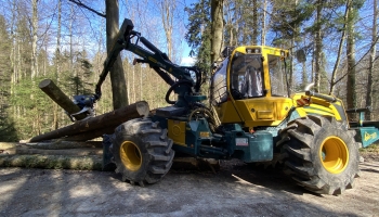 Forstliche Arbeiten